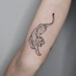 Tattoo tigre linea fina