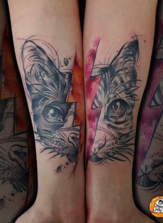 tattoo retrato gatos