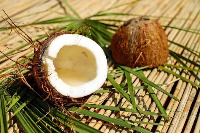 Los beneficios del aceite de coco para el tatuaje